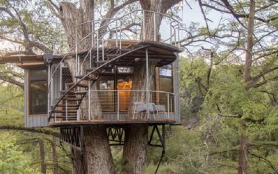 Intip : Tips Membuat Rumah Pohon