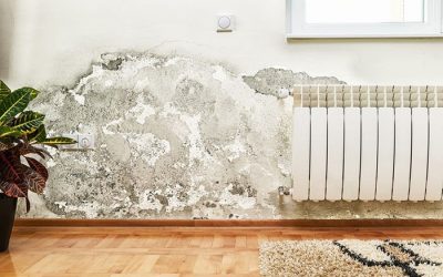 Cara Mengatasi Ruangan Lembab, Salah Satunya Menggunakan Waterproofing