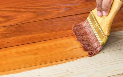 6 Rekomendasi Cat Kayu Anti Rayap Terbaik, Mau Pilih yang Mana?